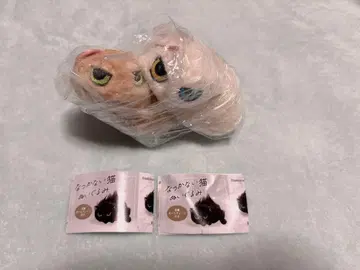 나츠카이 고양이 봉제 인형 화이트 고양이 호랑이 고양이 가챠 2마리 세트