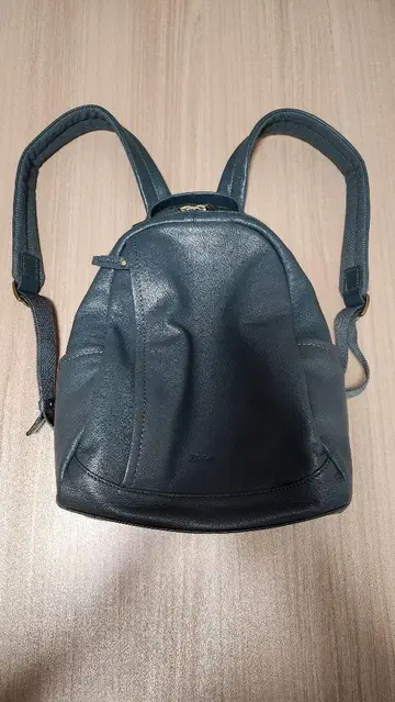 Dakota 백팩