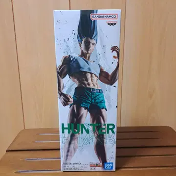 HUNTER x HUNTER 곤 - 있는 힘껏 펜 피그 라이프