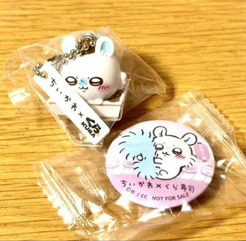 치이카와 x 쿠라스시 모몽가