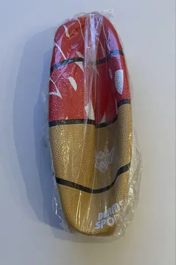 류큐 골든 킹스 BEAMSSPORTS 농구