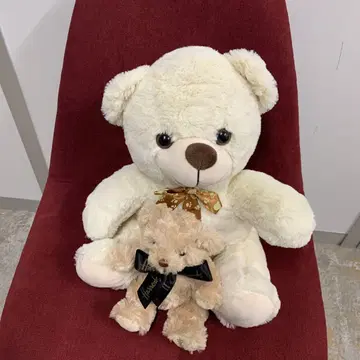 화이트 곰과 해롯의 작은 곰 세트