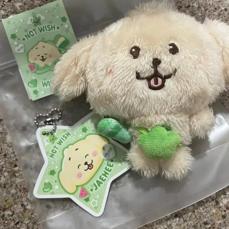 NCT | 엔시티 nct wish Jaehee Daengtriever wts on Bunjang Global Site.