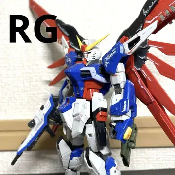 RG 1/144 ZGMF-X42S 데스티니 건담 완제품