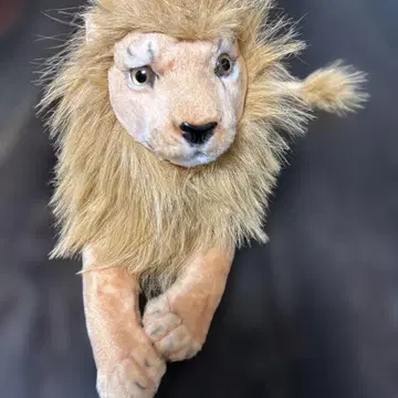라이온 리얼 봉제 인형