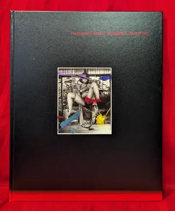 아라키 노부요시 KOSHOKU PAINTING