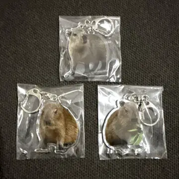 카피바라 모미 네무 무쿠 아크릴 키링 세트 도부 동물 공원