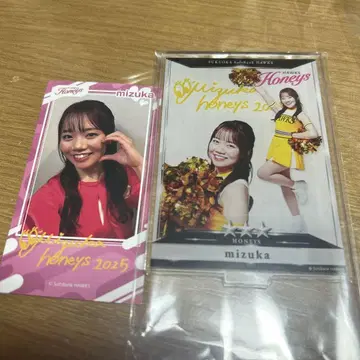타카코레 복권 허니즈 mizuka 아크릴 스탠드 스티커 세트