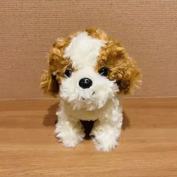Bestever 베스트 에버 시추 봉제 인형 프리미엄 강아지