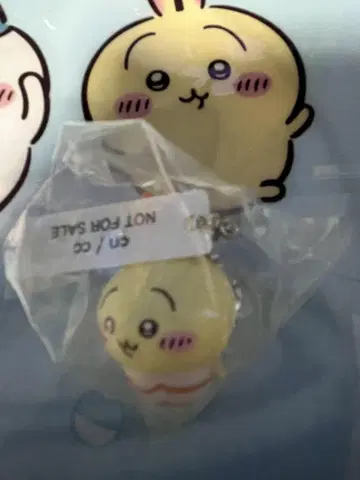 치이카와 (먼작귀) 쿠라스시 토끼