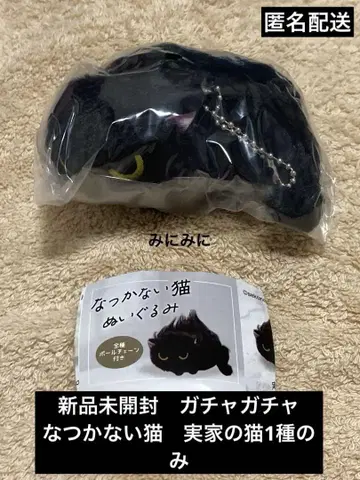 미개봉 새상품 가챠가챠 낯을 가리는 고양이 본가 고양이 1종만