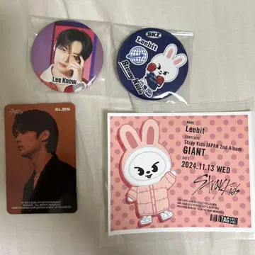 스키즈 리노 Lee Know 묶음 판매 캔뱃지 트레이딩 카드 팝업