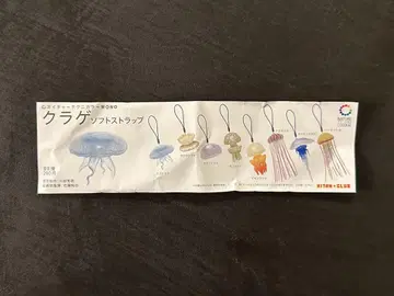 해파리 소프트 스트랩 네이처 테크니컬러 MONO