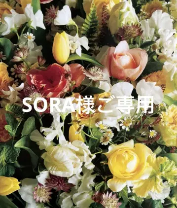 SORA 님 퀘스트 2점