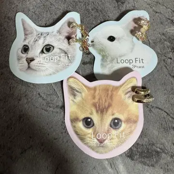 루프 핏 귀걸이 3캐럿 3종류