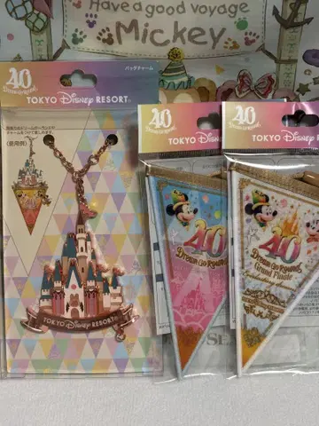 디즈니 40주년 드림 고 라운드 드림 가랜드 백 참