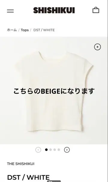 THE SHISHIKUI DST / BEIGE
