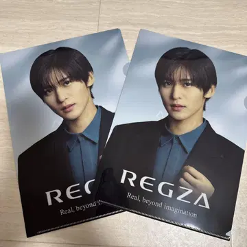 REGZA 클리어 파일 메구로 렌