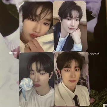 TEMPEST 힝크 이벤트 혜택 트레이딩 카드