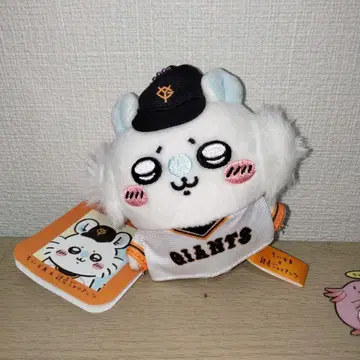 치이카와 (먼작귀) 자이언츠 모몽가 마스코트