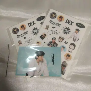 DEX 김지영 굿즈 씰 엽서