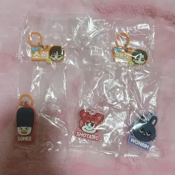 RIIZE 푹신한 메지루시 액세서리