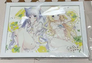 시라타마코 타마코 고전 2판 사인 포함 미니 아트 그래프