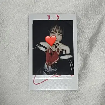 코루네 사인 폴라로이드