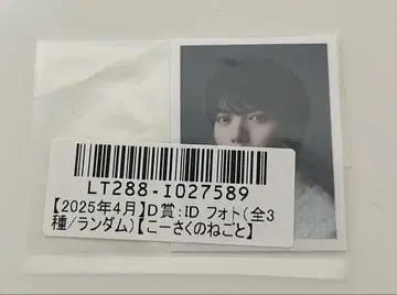 켄지부 코이즈미 히카리 키라리 스크래치 ID 사진