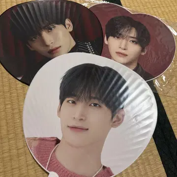 정모 부채