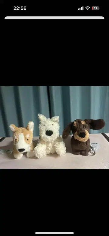 택 포함 새상품 jellycat 원챈 왼쪽 1개