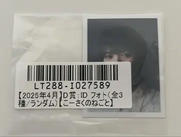 고이즈미 코사키 키라리 스크래치 ID 사진