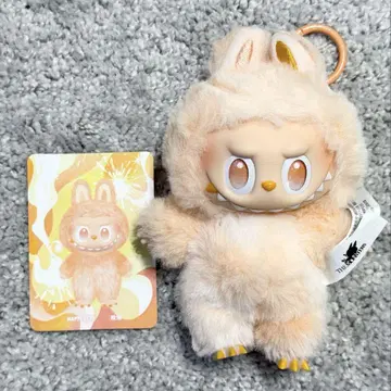 몬스터스 에너지에 푹 빠진 러브부 러브부