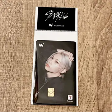 [익명 배송] straykids wowpass 스키즈 와오패스 필릭스