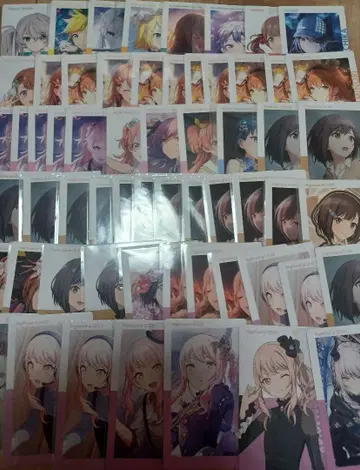 프로세카 에피카 묶음 판매