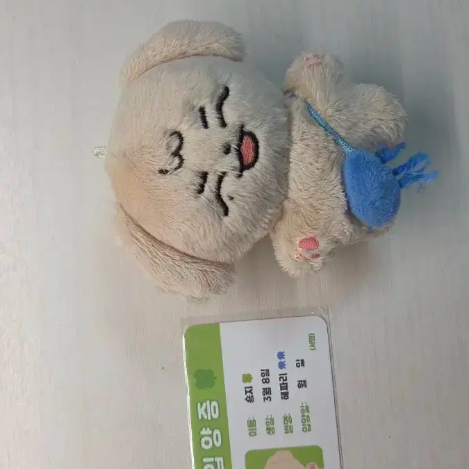 TWS | 투어스 Tws jihoon doll Shongji on Bunjang Global Site.