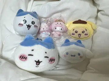치이카와 (먼작귀) 산리오 콜라보 정리