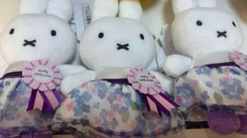 하우스텐보스 나인체 셀레브레이션 미피 마스코트 3개 세트