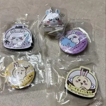치이카와 (먼작귀) 쿠라스시 모몽가 토끼