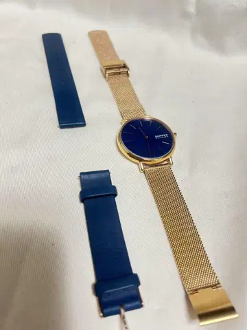 SKAGEN 스카겐 블루 다이얼 메쉬 밴딩 손목시계