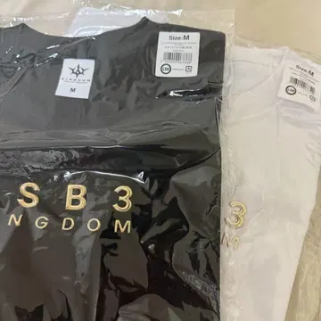 3대째 JSB KINGDOM 투어 티셔츠 M 사이즈