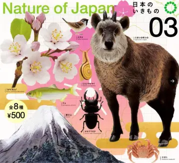 총 8종 컴프 NATURE OF JAPAN 일본의 생물 03