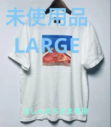 미사용품 RED HOT CHILI PEPPERS S/S TEE USA제