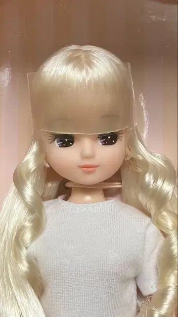 리카짱 캐슬 크리스마스 모델 리카짱 캐슬판 인형 인형