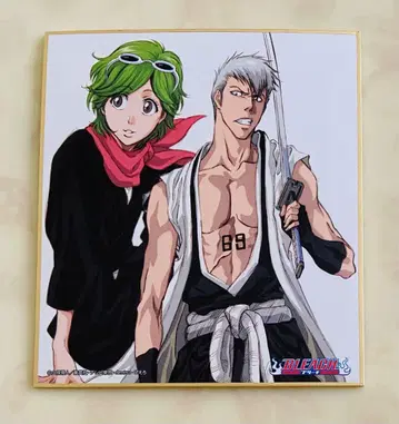 BLEACH 색지 로쿠루마 켄세이 히사미나미 시로 희귀품