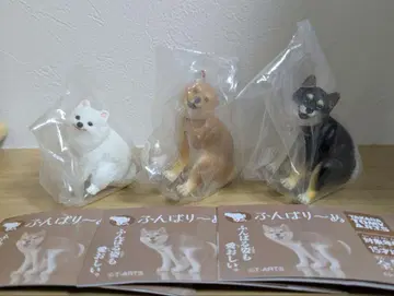 힘내리누 시바견 블랙 시바견 포메라니안