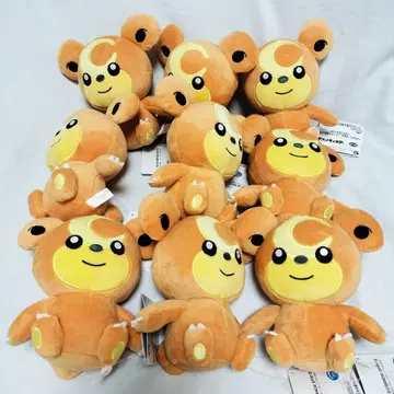 포켓몬스터 봉제 인형 이브이 오타치 히메구마 정리