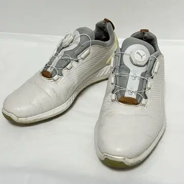 Puma 골프화 IGNITE 화이트 25.5cm