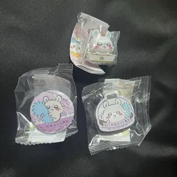 치이카와 쿠라스시  모몽가 전종 세트