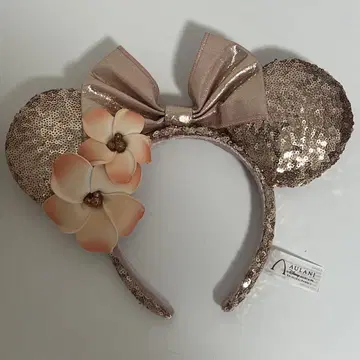 디즈니 머리띠 아우라니 하와이